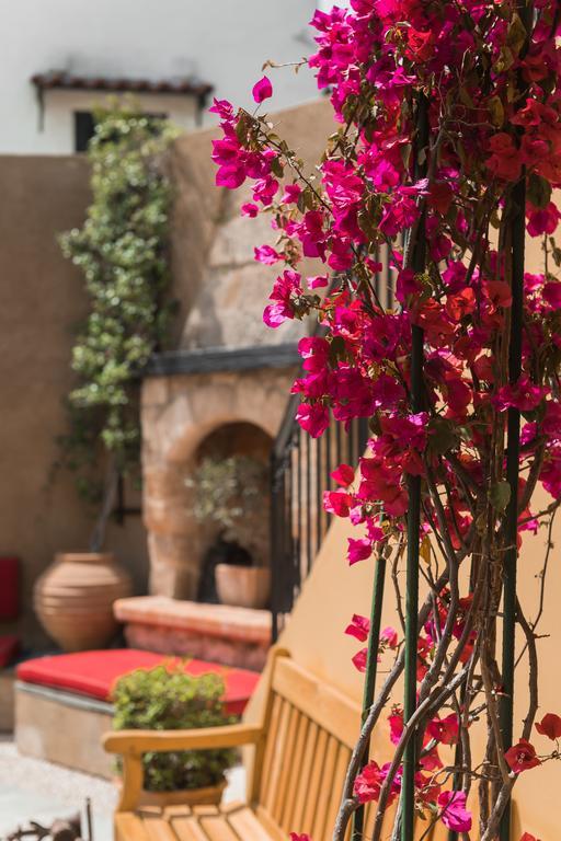 Zacosta Villa Hotel Rhodes City Zewnętrze zdjęcie